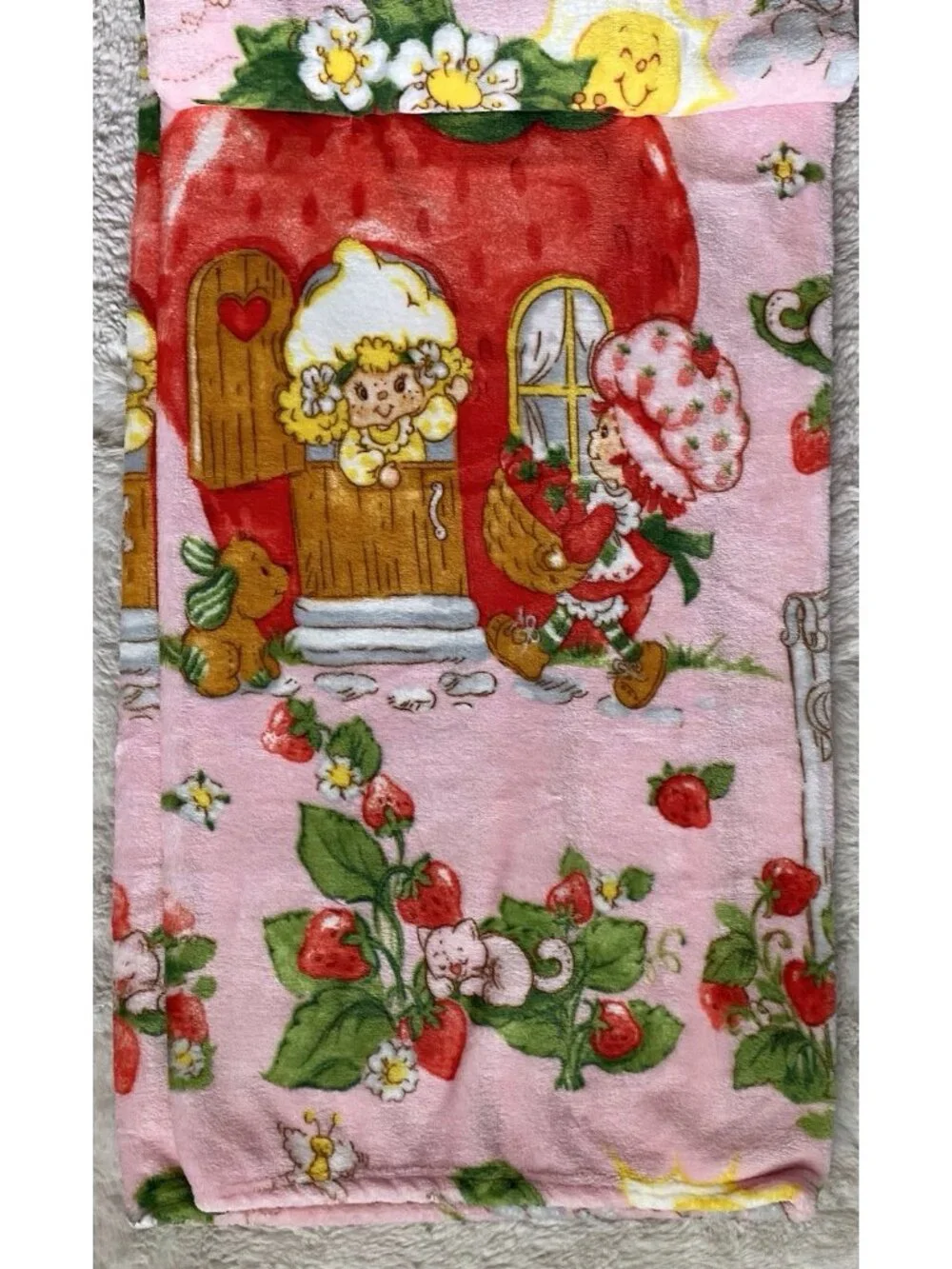 Strawberry Shortcake & Friends 50” X 70”‎ Soft Plush Soft Throw Blanket Pink NEW